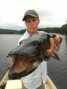 Musky caught on Ghost Lake at Boulder Lodge