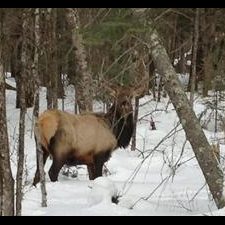 One of our local residents