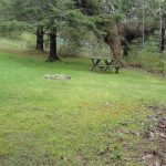 Meadows Site #1
