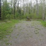 Woodlands #26