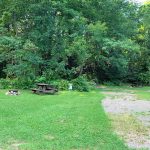 Meadow's Site 10