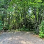 Meadow's Site 11