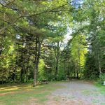 Meadow's Site 12