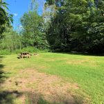 Meadow's Site 6