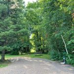 Meadow's Site 7